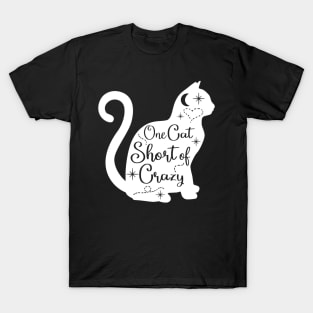 Cat Lover Crazy Cat Lady Funny Gift Idea T-Shirt